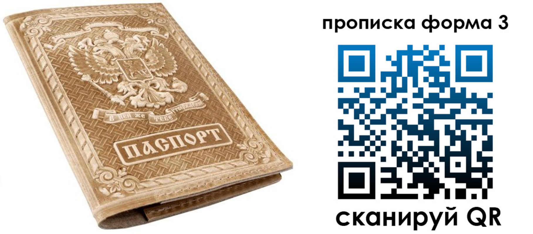 прописка гарантия в Дубне